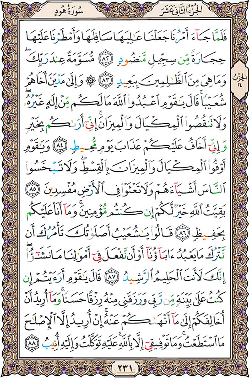 قرآن  عثمان طه با کیفیت بالا صفحه 231